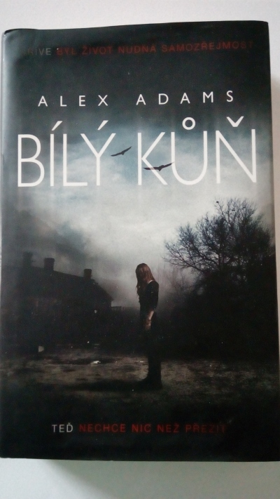 Bílý kůň