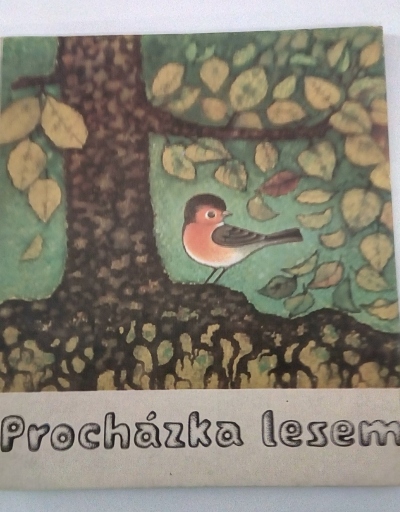 Procházka lesem