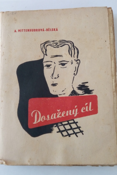 Dosažený cíl