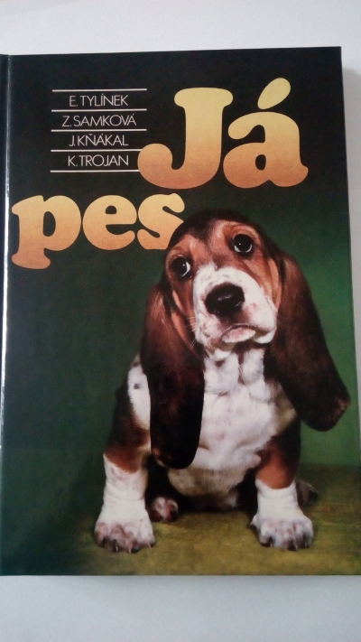 Já pes