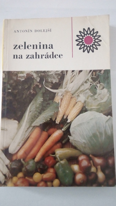 Zelenina na zahrádce