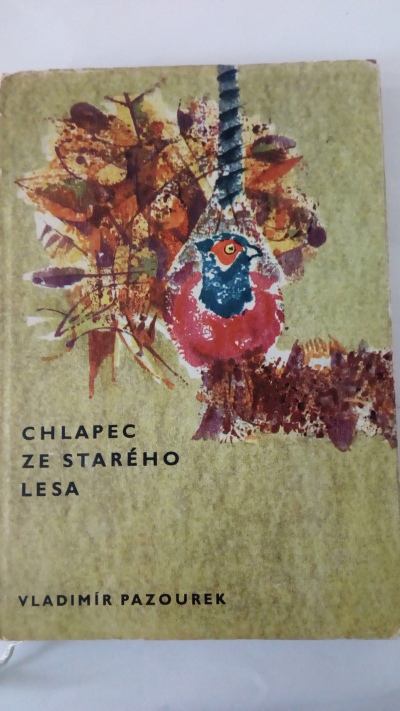 Chlapec ze starého lesa