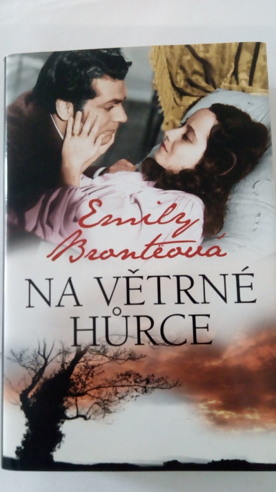 Na větrné hůrce