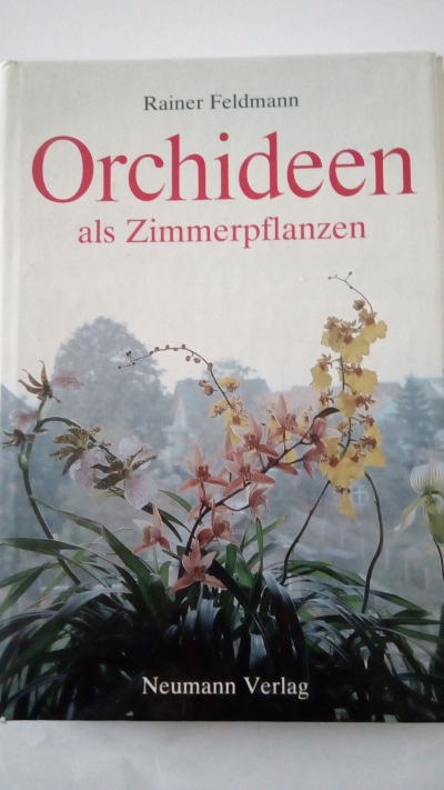 Orchideen als Zimmerpflanzen