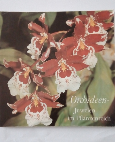 Orchideen – Juwelen im Pflanzenreich