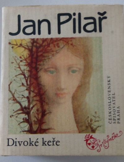 Divoké keře