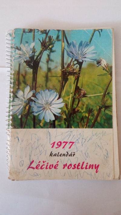 Léčivé rostliny – kalendář 1977