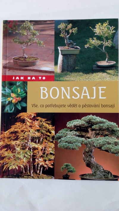 Bonsaje – jak na to