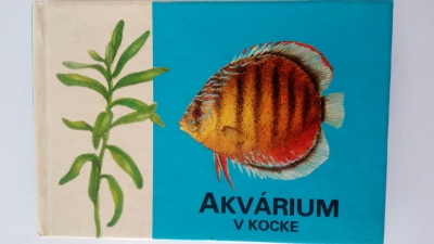 Akvárium v kocke