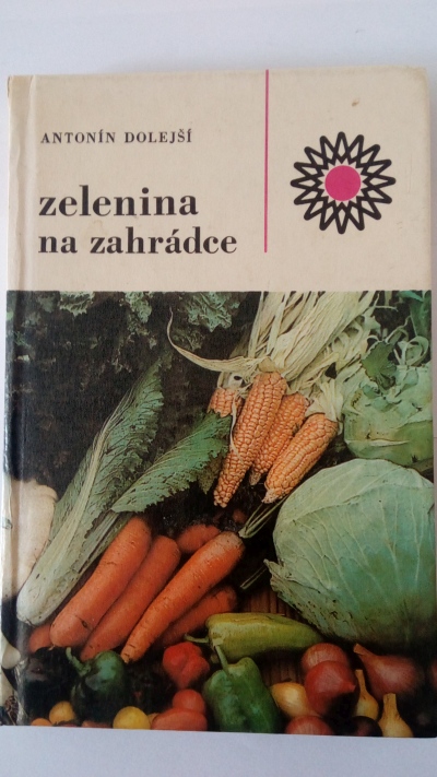 Zelenina na zahrádce