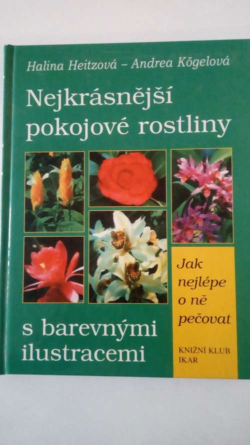 Nejkrásnější pokojové rostliny