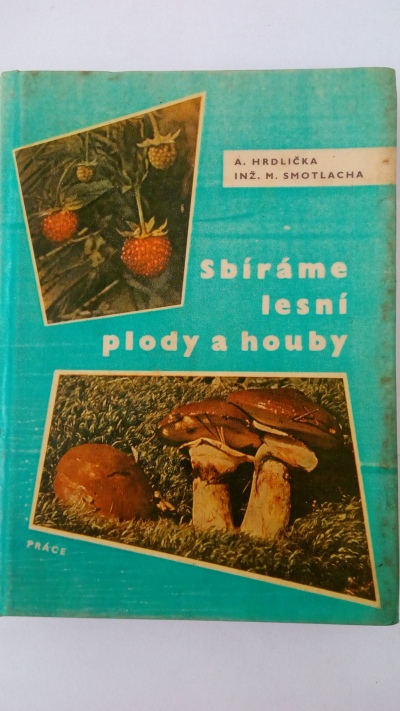 Sbíráme lesní plody a houby