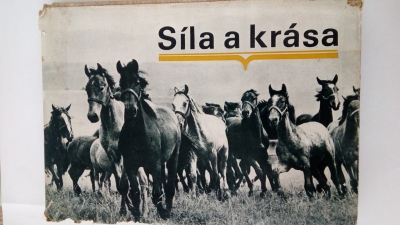 Síla a krása