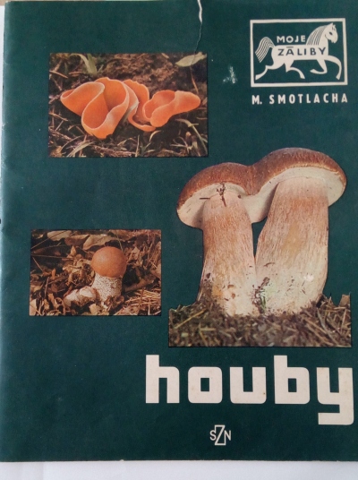 Houby