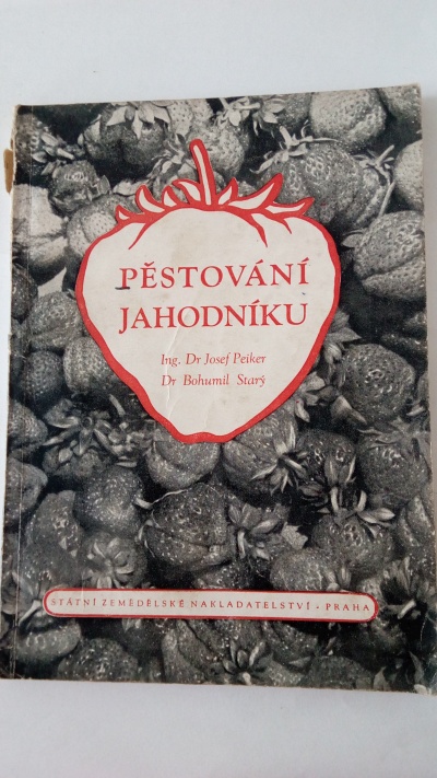 Pěstování jahodníku