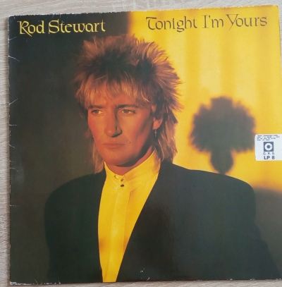 Tonight I´m Yours