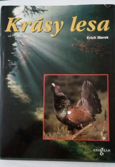 Krásy lesa