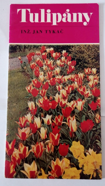 Tulipány