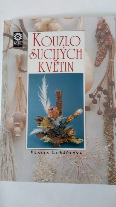 Kouzlo suchých květin