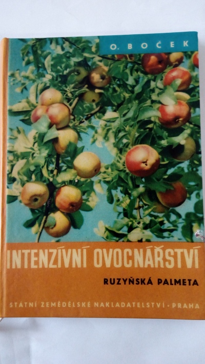 Intenzivní ovocnářství