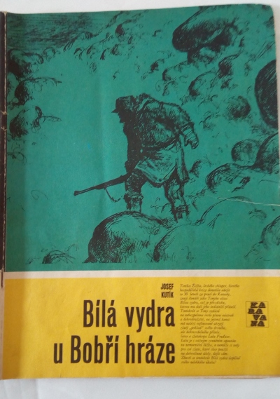 Bílá vydra u Bobří hráze
