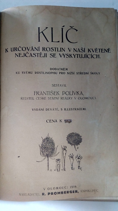 Klíč k určování rostlin v naší květeně nejčastěji se vyskytujících