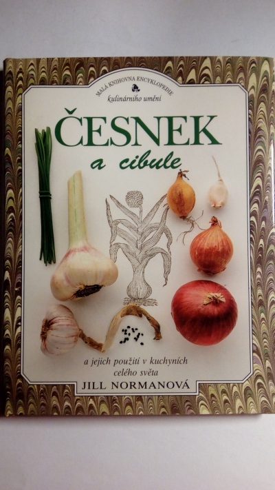 Česnek a cibule